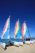 three catamarrans