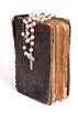 old holy bible