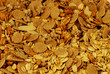 cereali