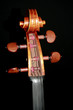 Violon
