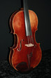 Violon