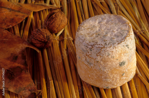 Foto: FROMAGE DE CHÈVRE FROMAGE DE CHÈVRE