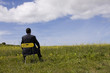 Businessman sit in a yellow chair