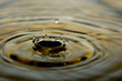 water water