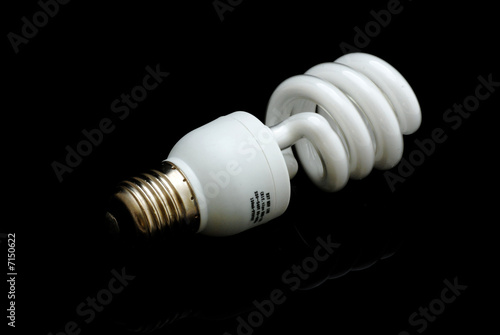 lampadina