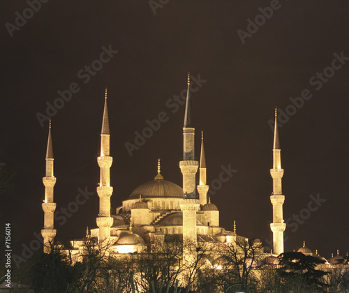 313 Blue Mosque at night in Istanbul Turkey 313 Blue Mosque at night in Istanbul Turkey