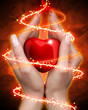 Heart in hands