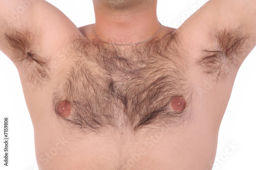 Photo: shaggy chest shaggy chest