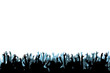 Pubblico - Blue Pubblico - Blue