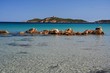 corse corse