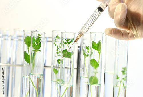 Syringe Injects liquid in Test Tubes