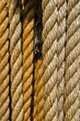 Ropes of different colors
