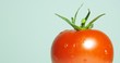 tomate