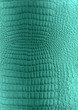 Green reptile leather imitation texture