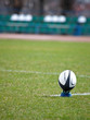 rugby