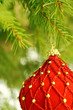 red christmas ball in  a tree