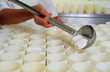 Foto: FROMAGE DE CHÈVRE DU POITOU FROMAGE DE CHÈVRE DU POITOU