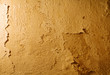 wall wall