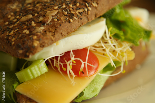 Photo: Vegan sandwich Vegan sandwich