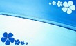 blau blumen