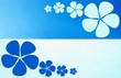 blumen muster
