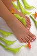 Spa Treatment