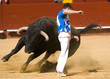 Recortador de toros Recortador de toros