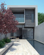 Luxury modern home with pool Luxury modern home with pool