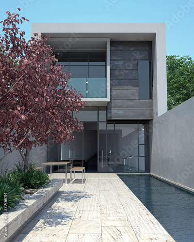 Luxury modern home with pool