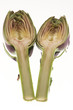 artichoke sliced in half on white background