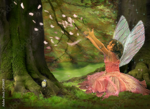 Photo: Feather Fairy Feather Fairy