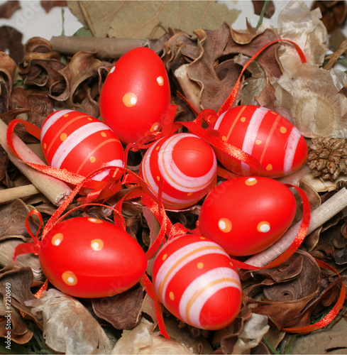 Photo: easter eggs easter eggs
