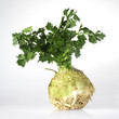 fresh celery with root