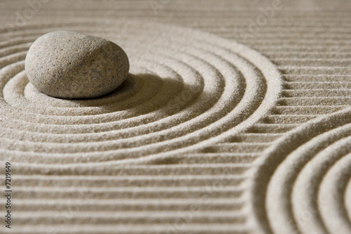 Mini zen garden
