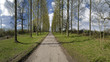 country road