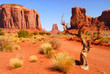 Large rock formations in the Navajo park Monument Valley