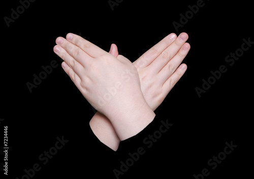 Butterfly Sign Language