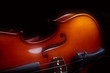Violin