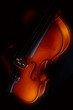 Violin in shade Violin in shade