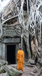 moine à Angkor (Cambodge)
