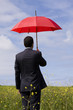 The insurance agent