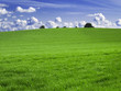 Green fields and blue sky