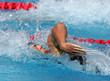 Natacion Crol