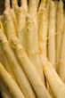 White asparagus