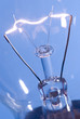 bulb on electric blue background