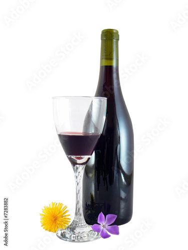 Vin du printemps 93-3