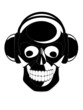 Skull headphones Skull headphones