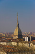 Mole antonelliana