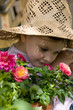 sweet roses