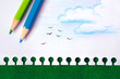 Nature Drawing